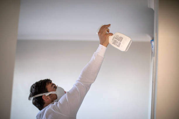 Best Attic Mold Removal  in Port Angeles East, WA