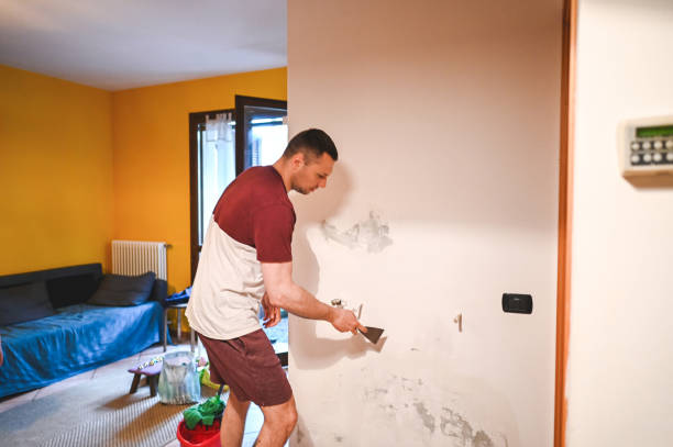 Best Commercial Mold Removal  in Port Angeles East, WA
